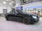MERCEDES CLK W209